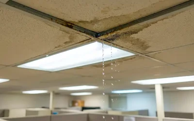 What Should You Do in the First 24 Hours After Water Damage?