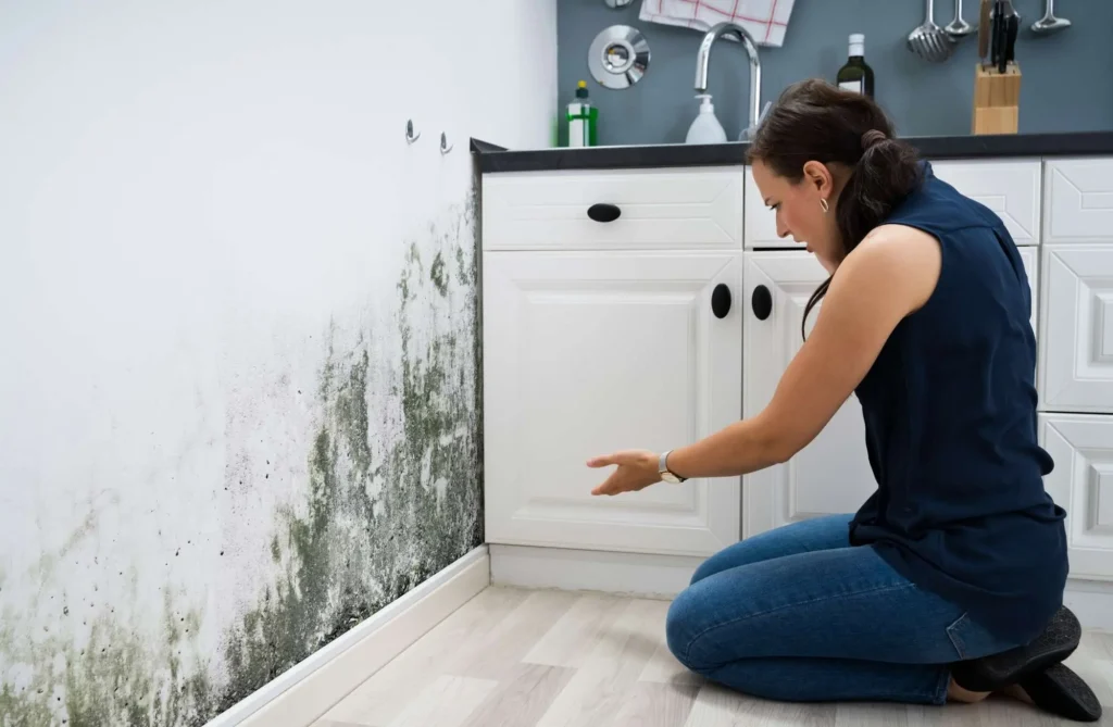 Homeowner discovering mold and moisture damage along a kitchen wall